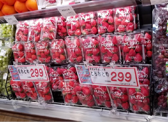 ワイズマート