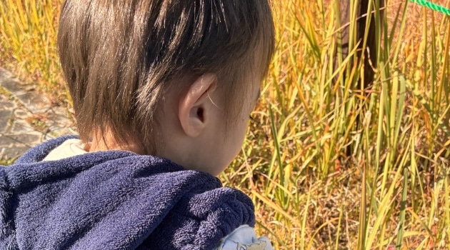 子供と公園